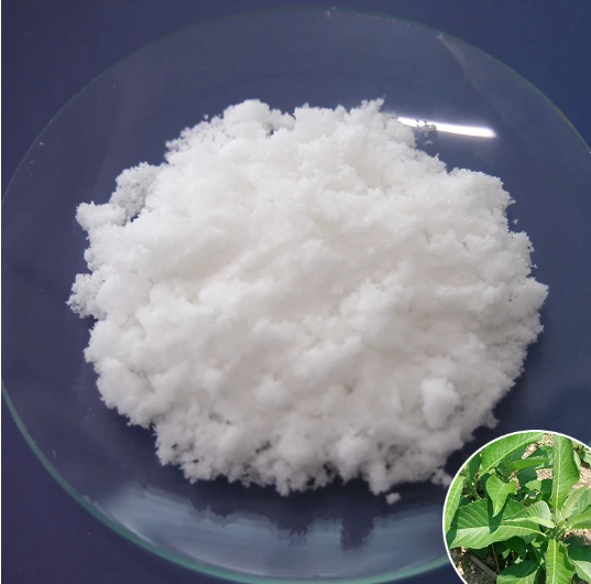 L-Borneol suppliers